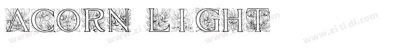 Acorn Light字体转换